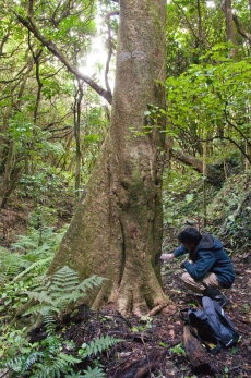 Bio-prospecting in the New Zealand bush
