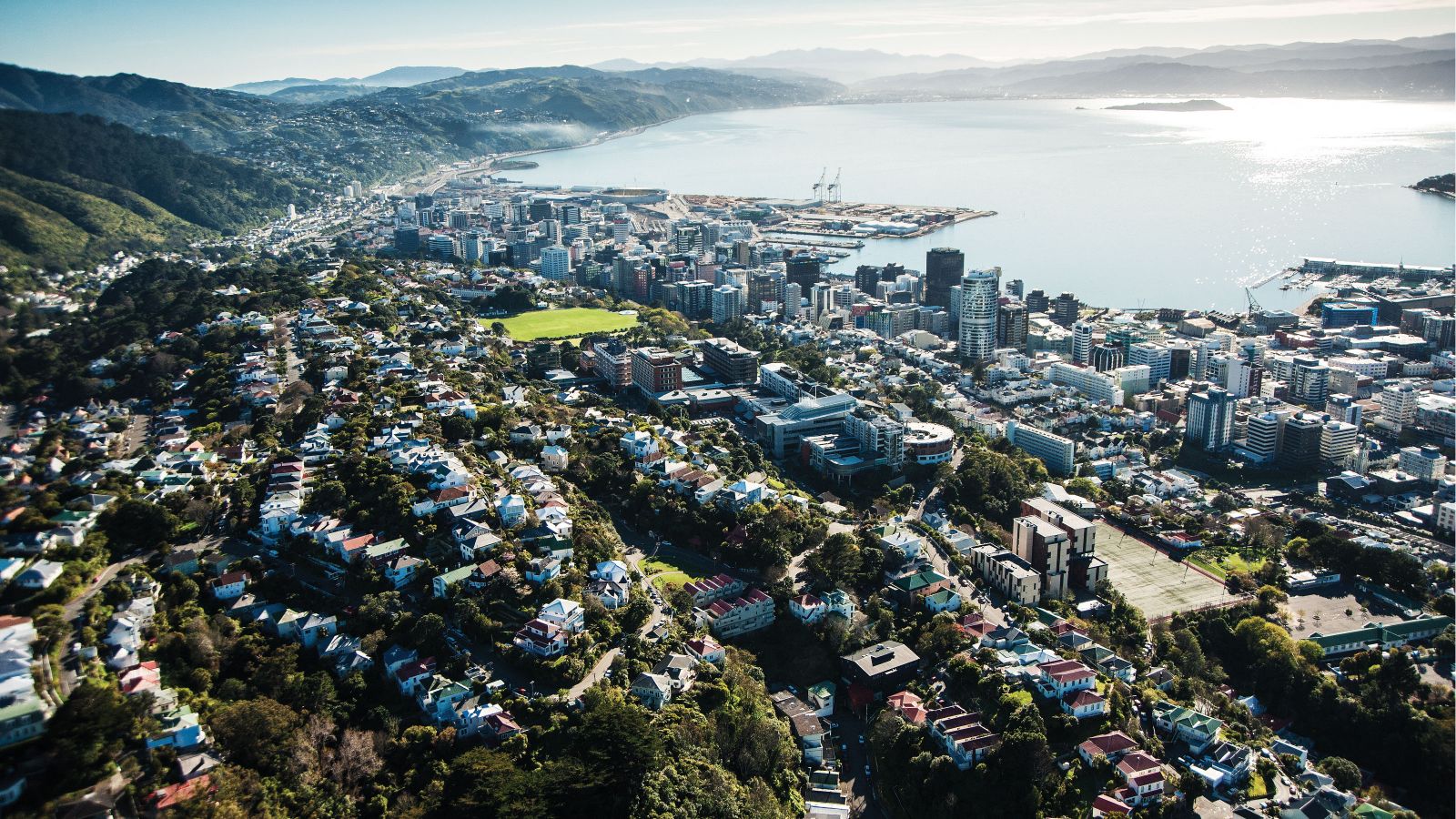 Image result for Wellington